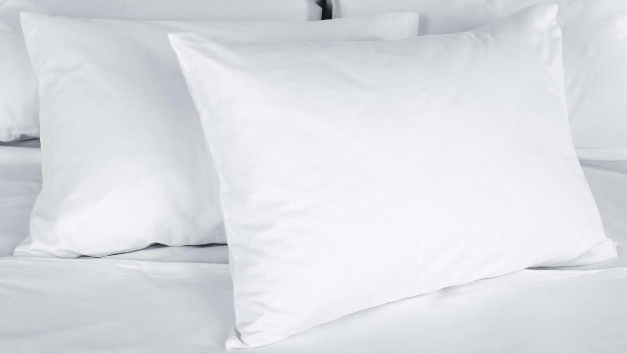 Ishpeming Magnuson Hotel Country Inn מראה חיצוני תמונה